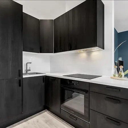 Newly Renovated - Downtown Apartament Oslo