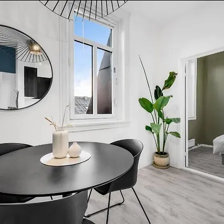 Newly Renovated - Downtown * אוסלו