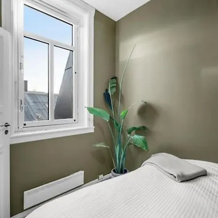Newly Renovated - Downtown Apartament Oslo